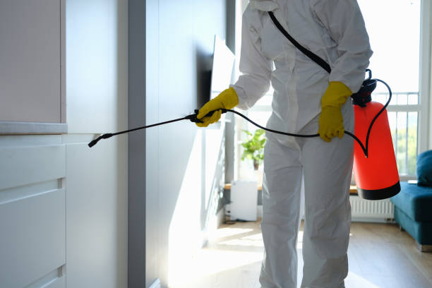 Professional Mold Removal in Iola, KS