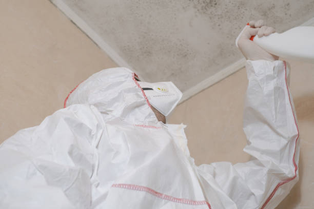 Best Crawl Space Mold Removal  in Iola, KS