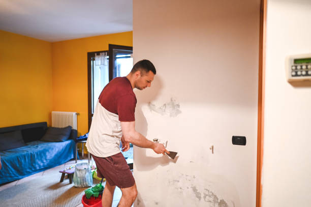 Best Residential Mold Removal  in Iola, KS